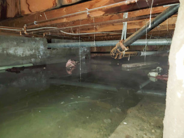 Best Local water damage restoration  in Moscow, ID