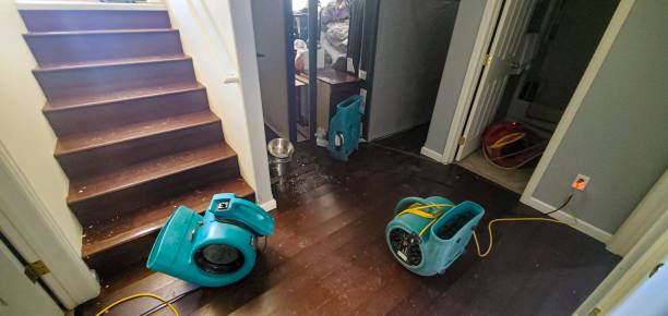 Best Flooded house restoration  in Moscow, ID