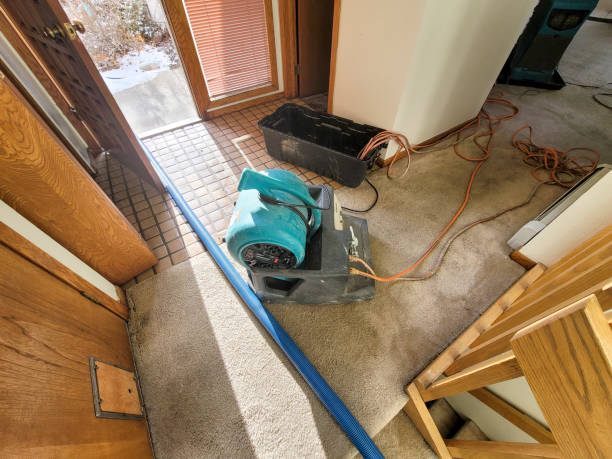 Best Water damage restoration near me  in Moscow, ID