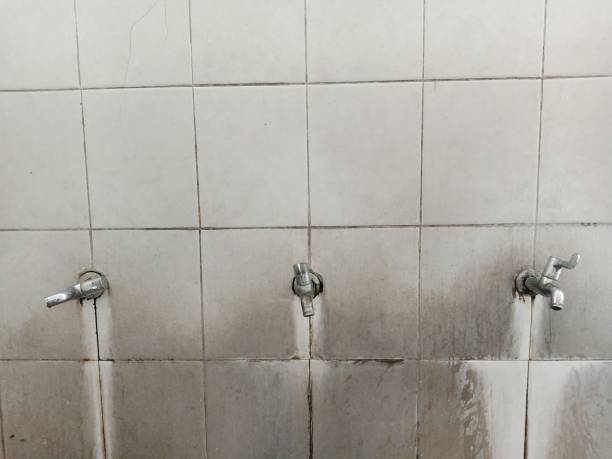 Trusted Moscow, ID Water damage restoration Experts
