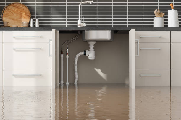 Best 24/7 water damage repair  in Moscow, ID